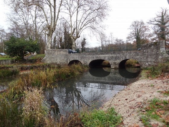 Le pont sur le Cosson à la Ferté-Saint-Aubin