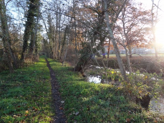 Le sentier du Gué du Roi à la Ferté-Saint-Aubin