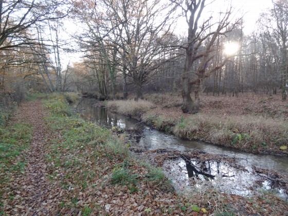 Le Cosson un matin de fin d\'automne