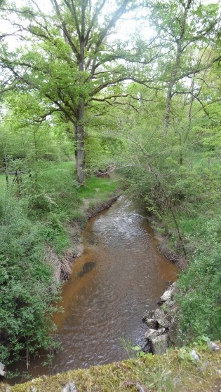Le Cosson