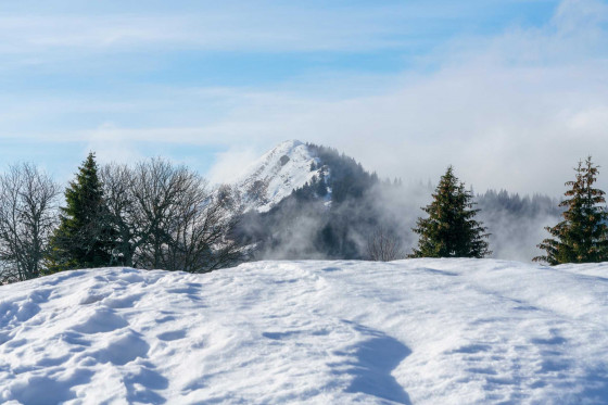 Le Crêt de Chalam