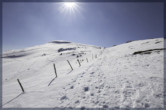 Le Crêt de la Goutte (1621 m).