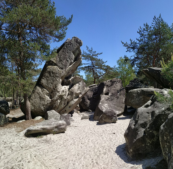 Le cul du chien