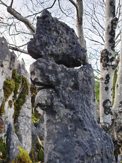Le Curé de Calihourc