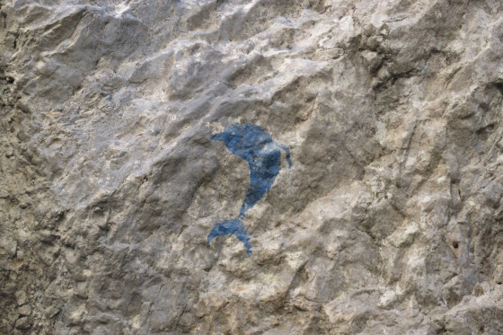 Le dauphin bleu