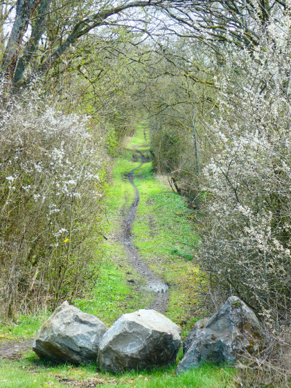 Le début de l'ancienne ligne de chemin de fer n°132