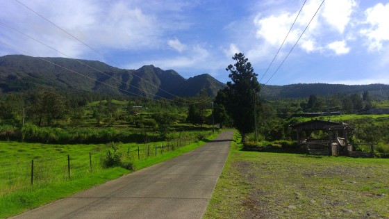 Le début de la route forestière