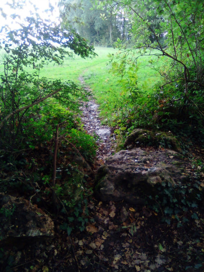 Le début du chemin