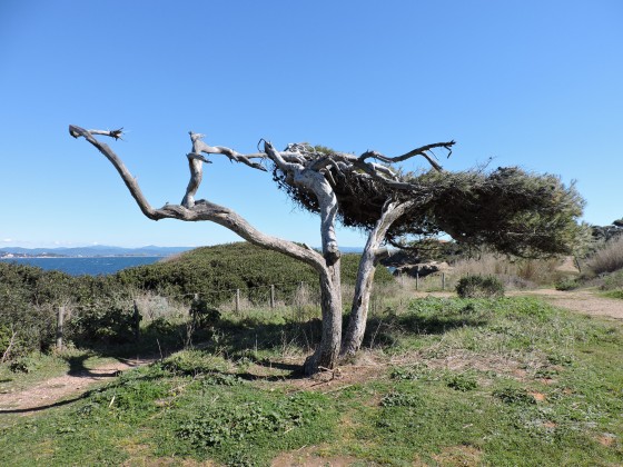 Le début du sentier