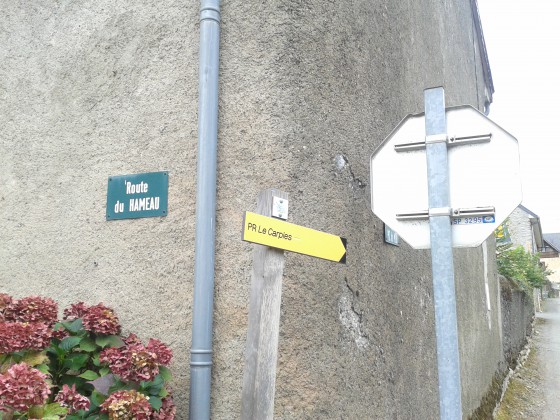 Le départ