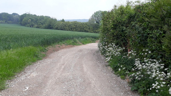 Le dernier virage