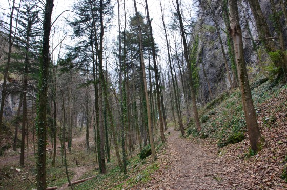 Le désert Jean Jacques Rousseau