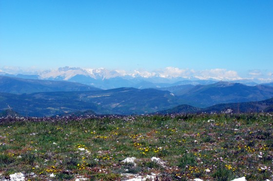 Le Dévoluy et la Barre des Ecrins