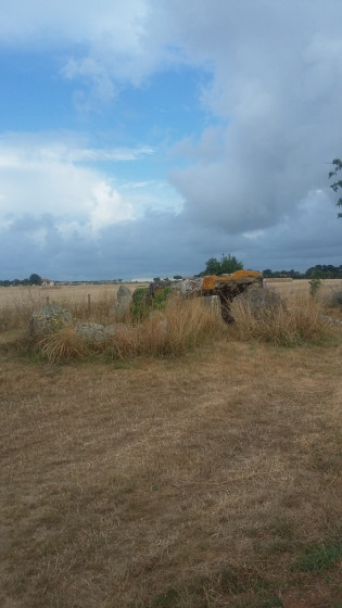 Le Dolmen du Grand Bouillac