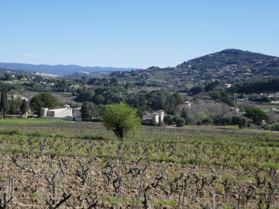 Le domaine et le château des Baumelles