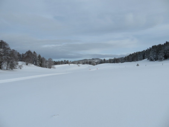 Le domaine nordique de La Vattay