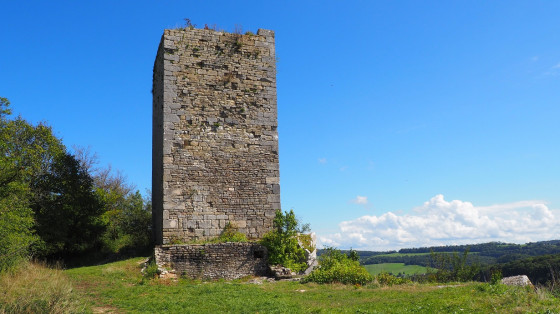 Le donjon de Montferrand