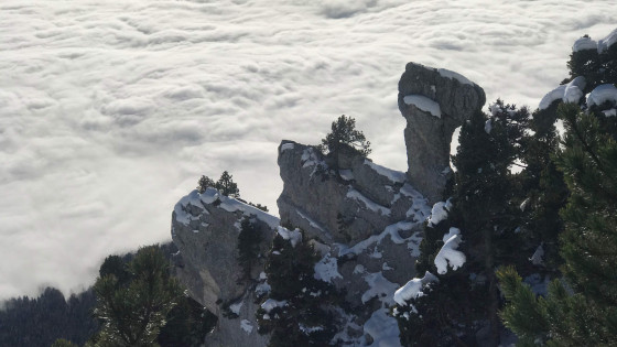 Le dromadaire (en automne) Le dromadaire (en automne)