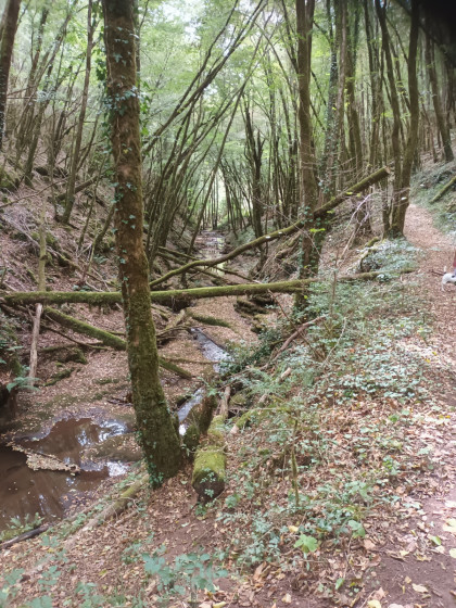 Le fond de la vallée