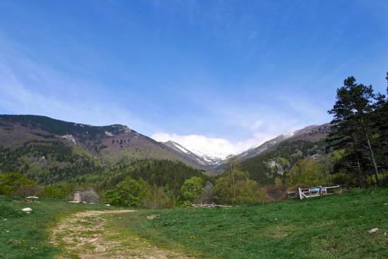 Le fond de vallée de la Coumelade
