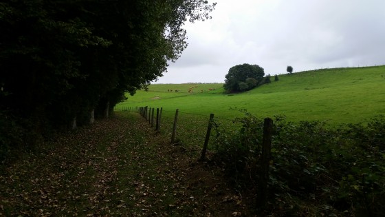 Le Fonds du Hetre Le Fonds du Hetre