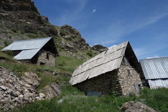 Le forest des Estaris