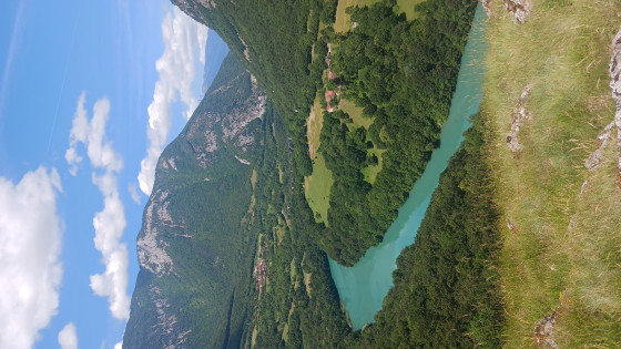 le fort, le pont et le rhône