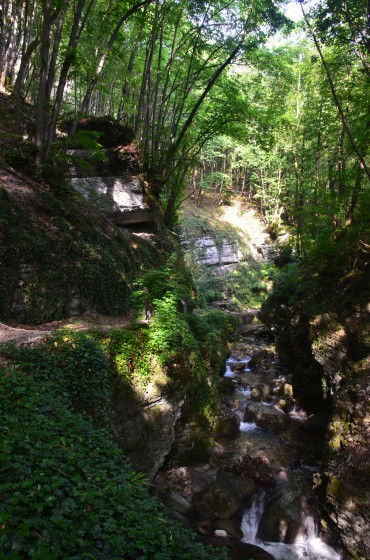 Le Furon s\'enfonce dans son canyon Le Furon s\'enfonce dans son canyon