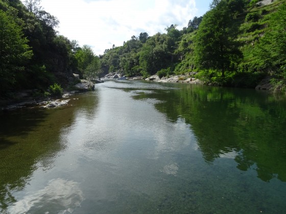 Le Gardon de Mialet