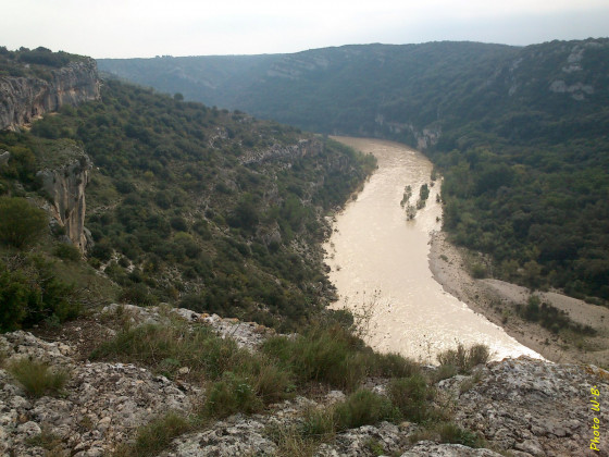 Le Gardon vers l'aval vu du Castellas de Russan
