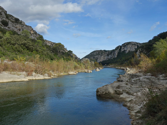 Le gardon