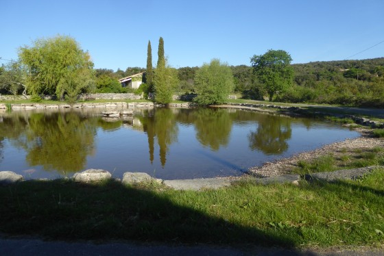 Le Garn : Petit étang aux grenouilles