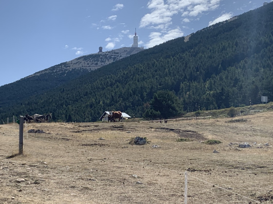 Le geant du Vaucluse