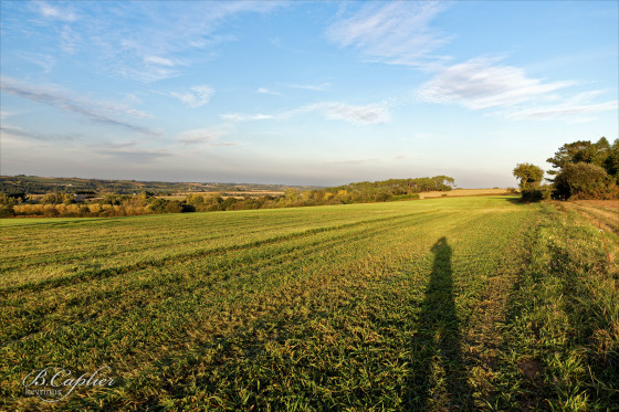 Le Géant Vert
