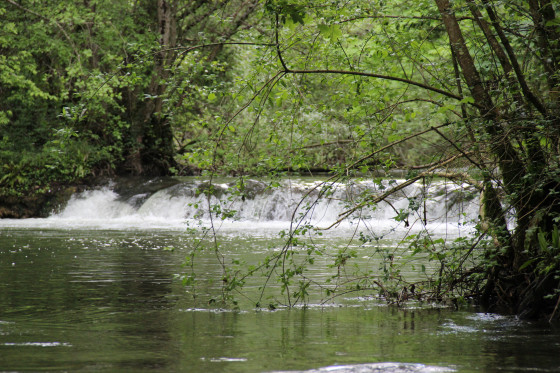 Le Gland au dessus de la cascade
