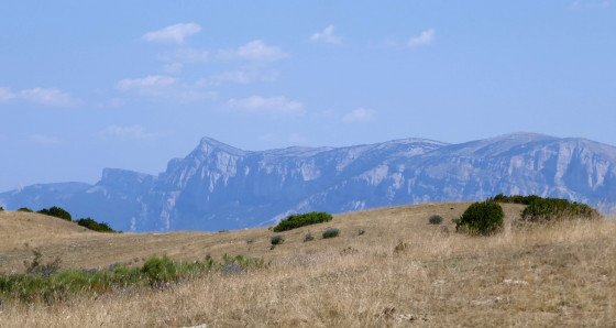 Le Glandasse
