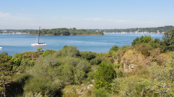 Le Golfe du Morbihan