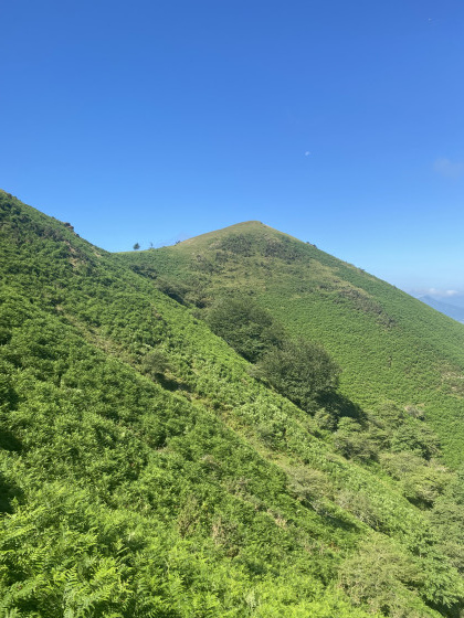 Le Gorospil