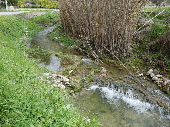 Le Gourganon