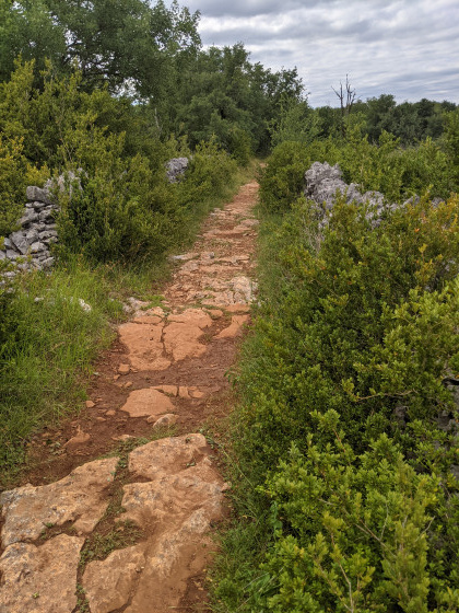 Le GR circule entre les murets de pierres sur le causse