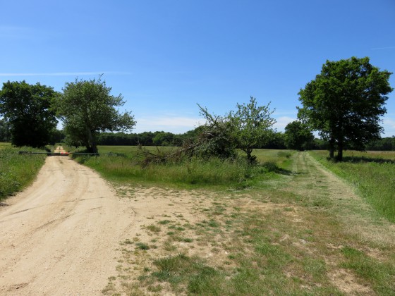 Le GR continue à droite sur un chemin herbeux
