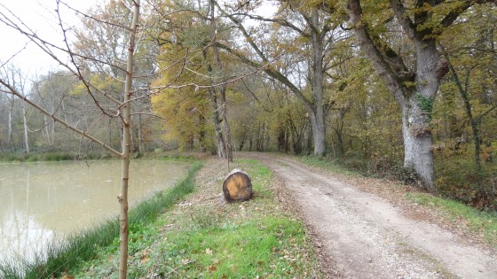 Le GR de Pays de Sologne