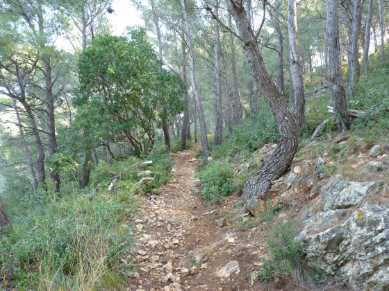 Le GR sous la Courtine Le GR sous la Courtine