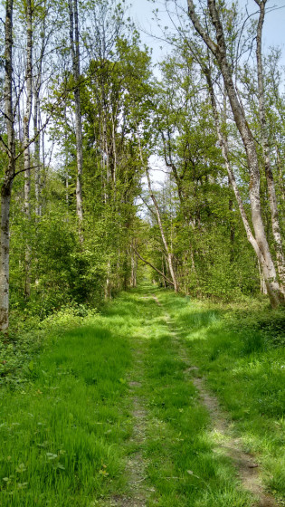 Le GR14 au printemps
