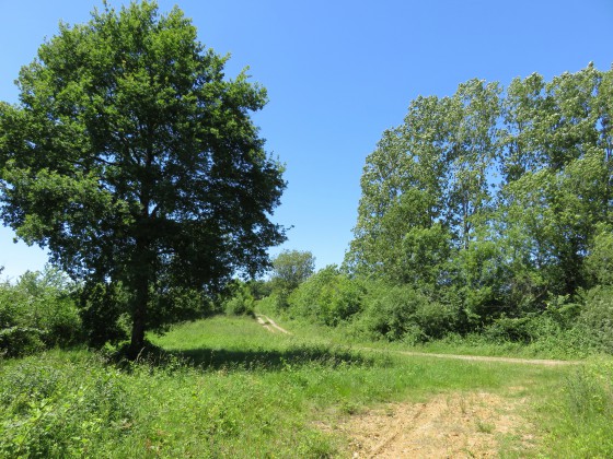 Le GR46 retrouve le chemin provenant de La Fauge