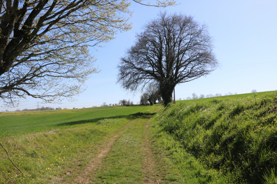Le GR655 au Sud d\'Exoudun et de Bagnault