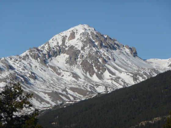 Le Grand Aréa