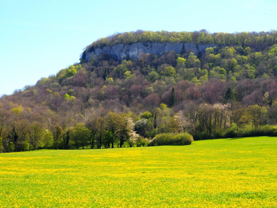 Le Grand Barmaud
