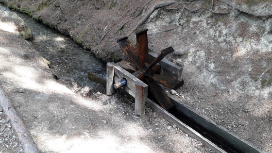 Le Grand Bisse de Vex