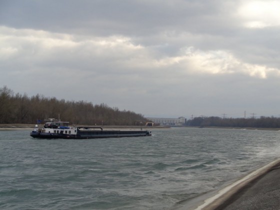 Le Grand Canal d\'Alsace (mars 2016)